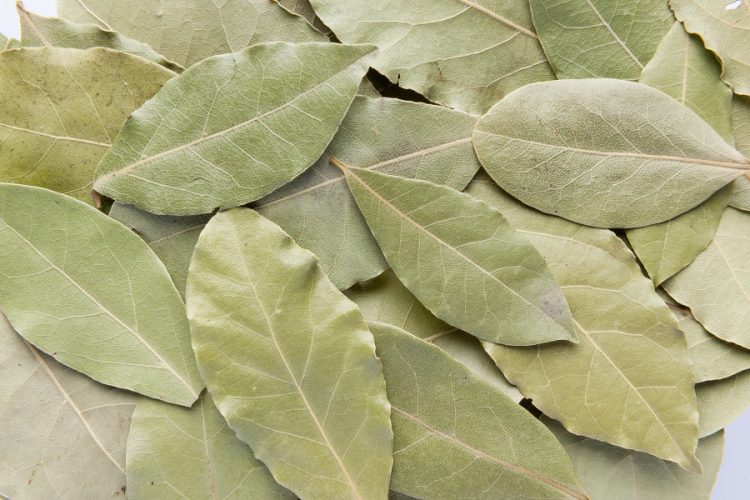 1232-Bay-leaves-whole_Gewürze-Lorbeerblätter-ganz-main