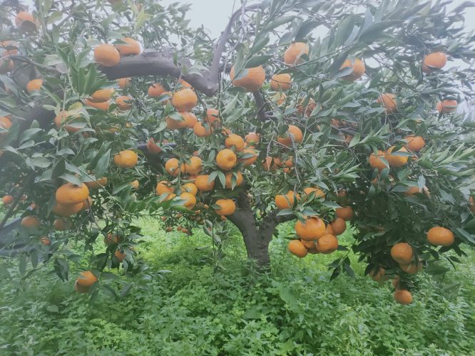 9378102b-56d4-43e5-8034-af5bac713749